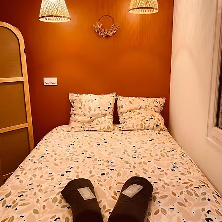 Le Wild Terracotta - Homy Niort